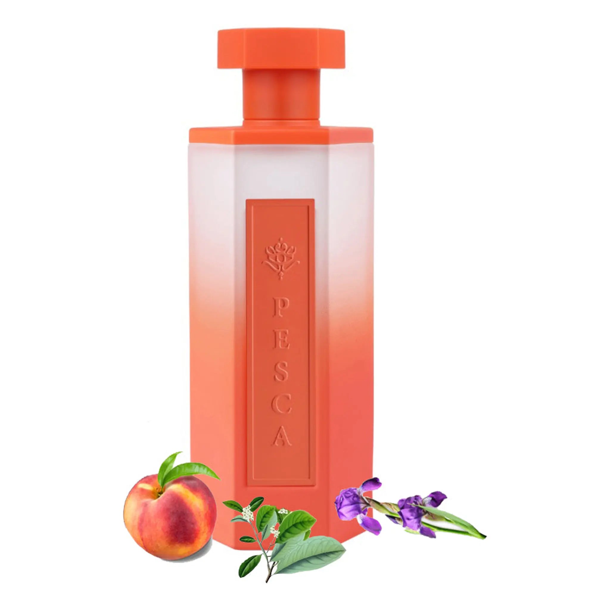 Front View of REEF Pesca Eau De Parfum SAMPLE